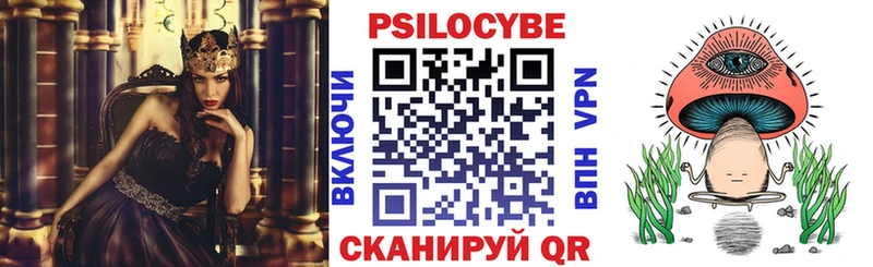 Псилоцибиновые грибы Psilocybe  Кореновск 